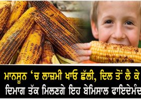 health benefits of corn