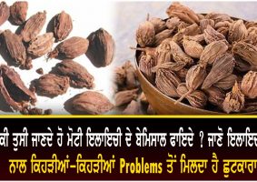 health benefits of black cardamom