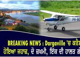 Dargaville light plane crash