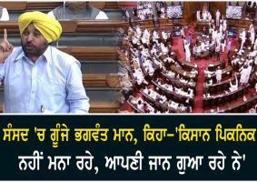 bhagwant mann says