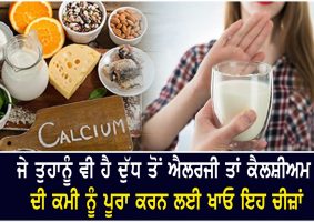 boost your calcium levels