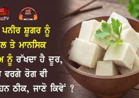 benefits of paneer