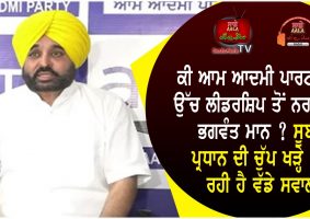 bhagwant maan angry with aap