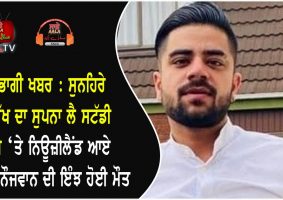 24 year old punjabi youth dies