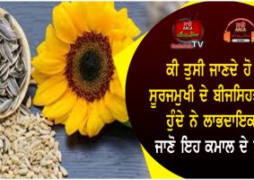 sunflower seeds health benefits