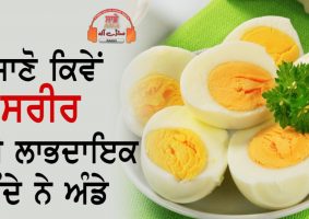 egg is beneficial for health