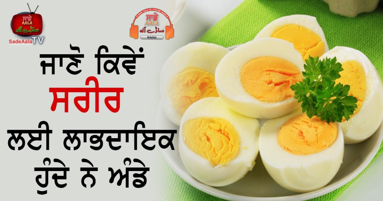 egg is beneficial for health