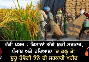 paddy procurement in punjabi and haryana