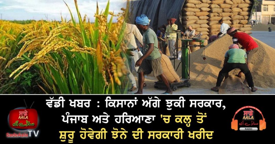 paddy procurement in punjabi and haryana