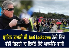 brian tamakis anti lockdown rally