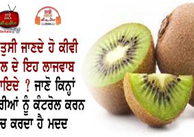 health benefits of kiwi fruit