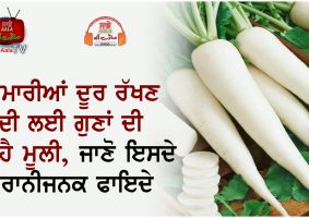 health benefits of radish