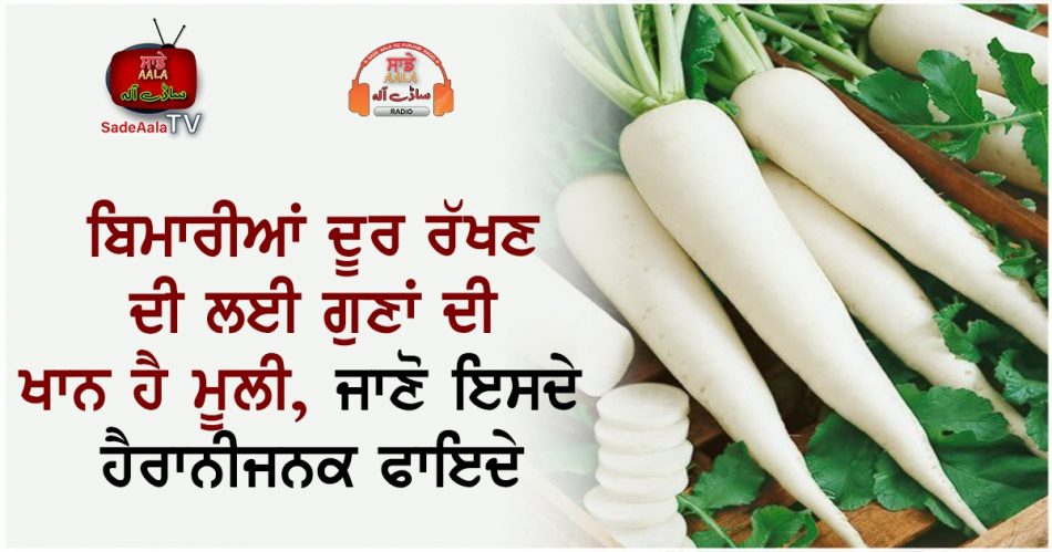 health benefits of radish