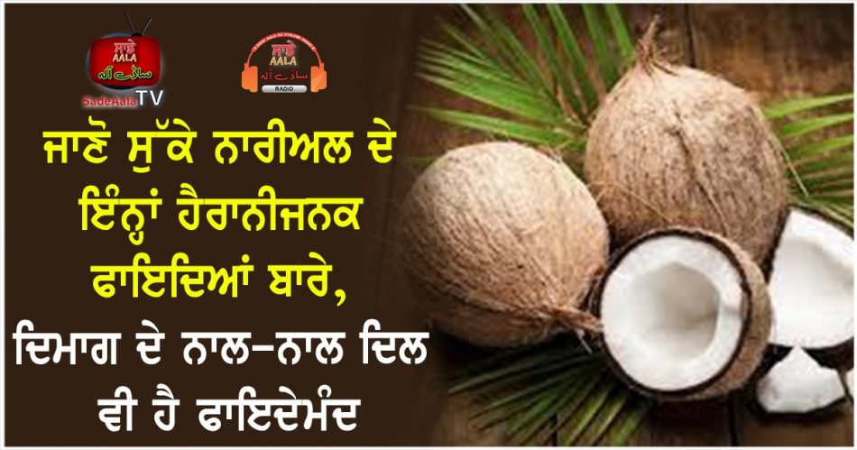 health-benefits-of-dried-coconut