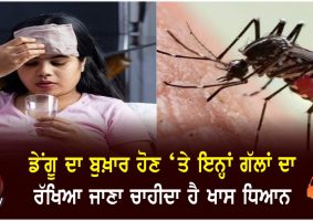 dengue fever symptoms and causes