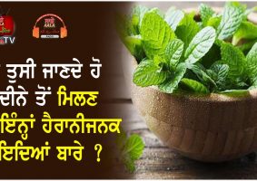 health benefits of mint