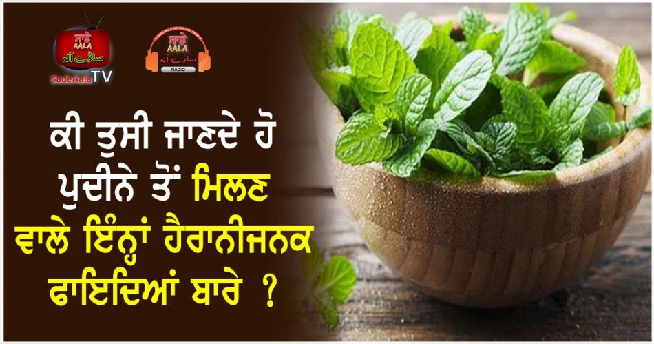 health benefits of mint