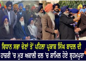 brahmpura rejoined the akali dal