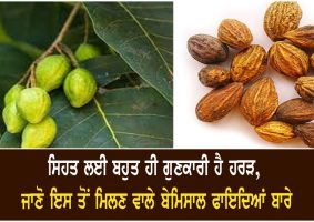 health benefits of myrobalan