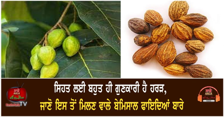 health benefits of myrobalan