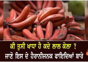 health benefits of red banana