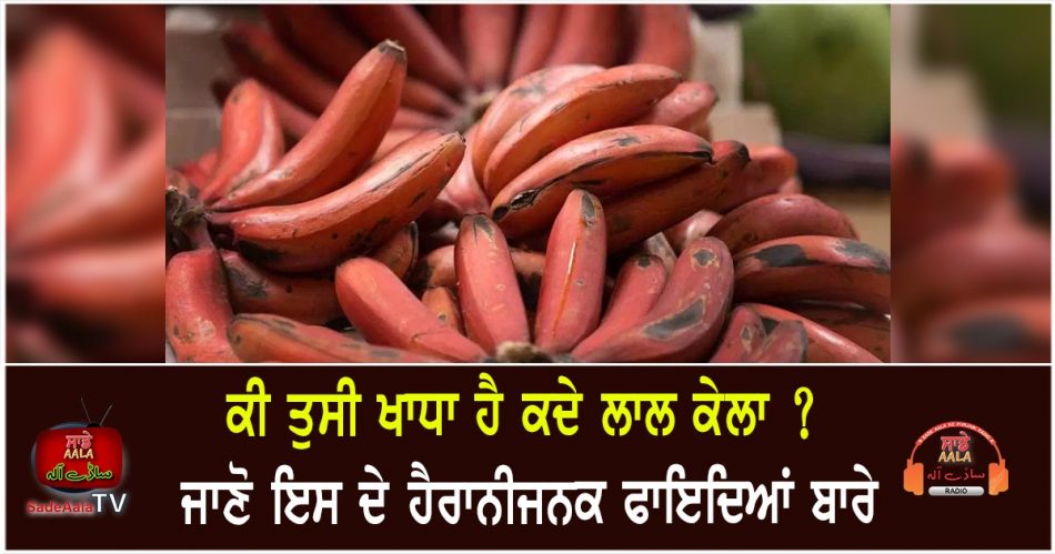 health benefits of red banana