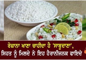 health benefits of sago