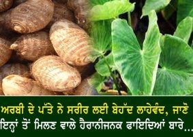 health benefits of arbi leaves