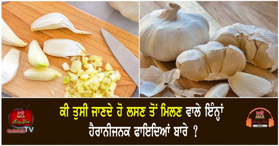 health benefits of garlic