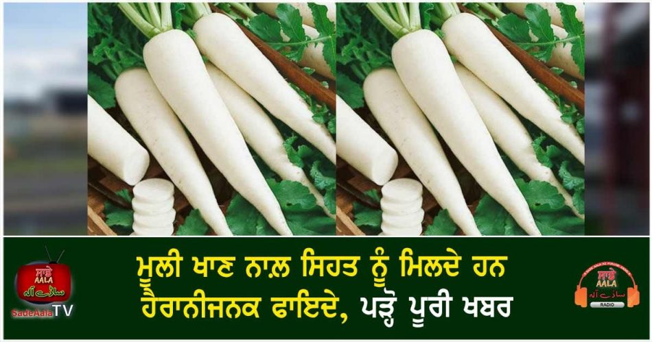 health benefits of radish