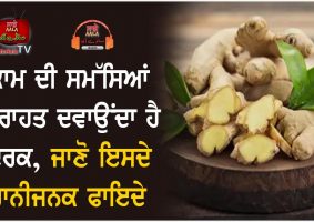 health benefits of ginger