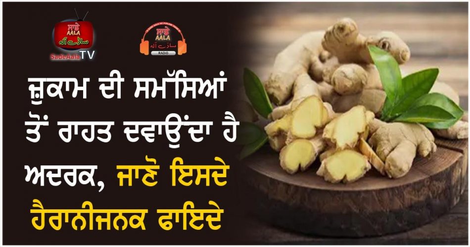 health benefits of ginger