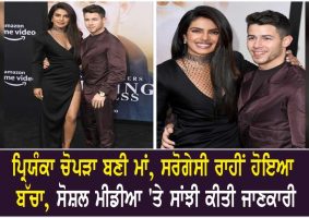 priyanka chopra and nick jonas become