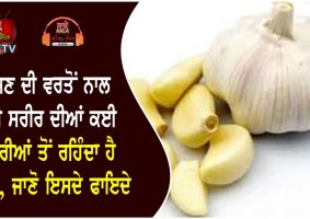 health benefits of garlic