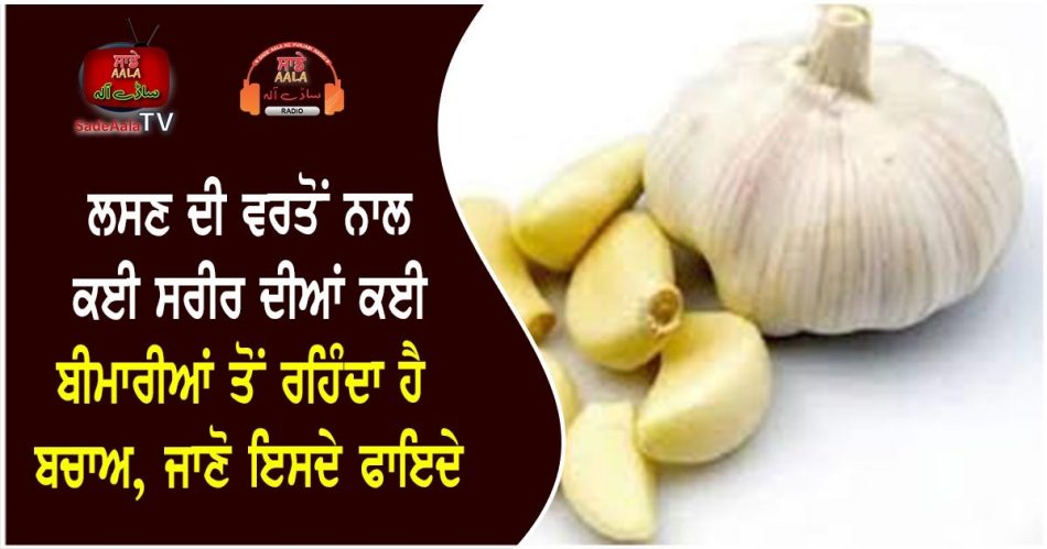 health benefits of garlic