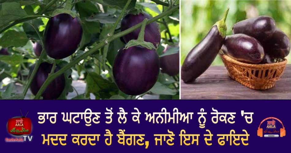 health benefits of brinjal