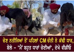 cm channi shared a video