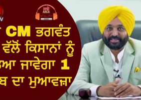 today cm bhagwant mann will