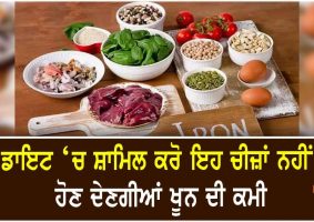 best diet plan for anemia