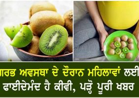 kiwi is good for pregnant women