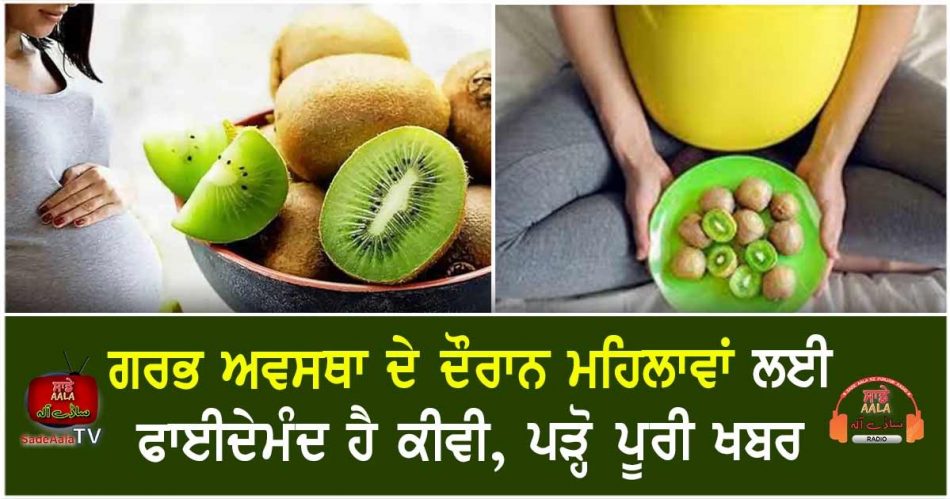 kiwi is good for pregnant women