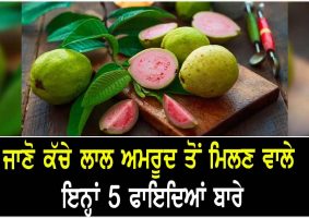 health benefits of raw guava