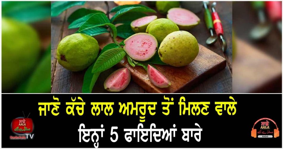 health benefits of raw guava