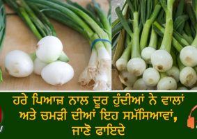 health benefits of green onions