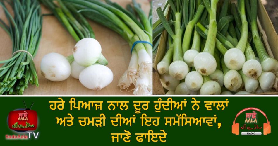 health benefits of green onions