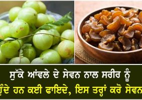 health benefits of dried gooseberry