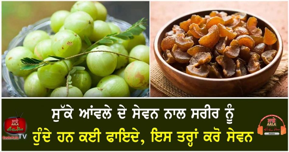 health benefits of dried gooseberry