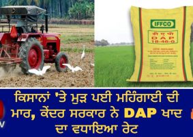 dap fertilizer costlier by rs 150