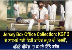 jersey box office collection