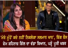 shehnaz gill on salman khan